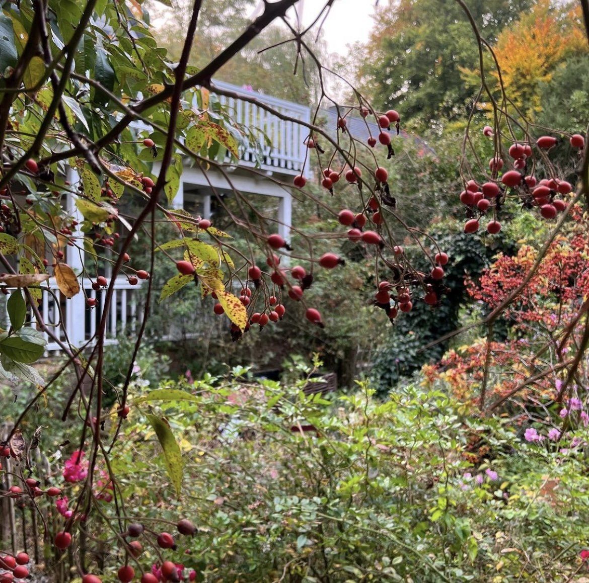 Herbstgarten