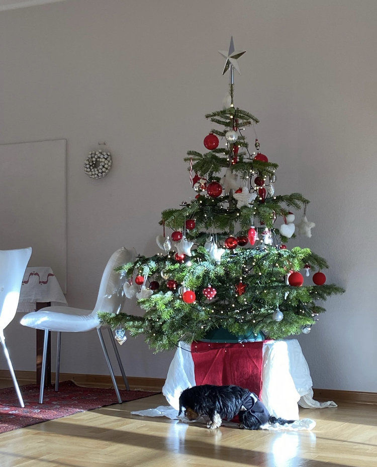 Weihnachtsbaum