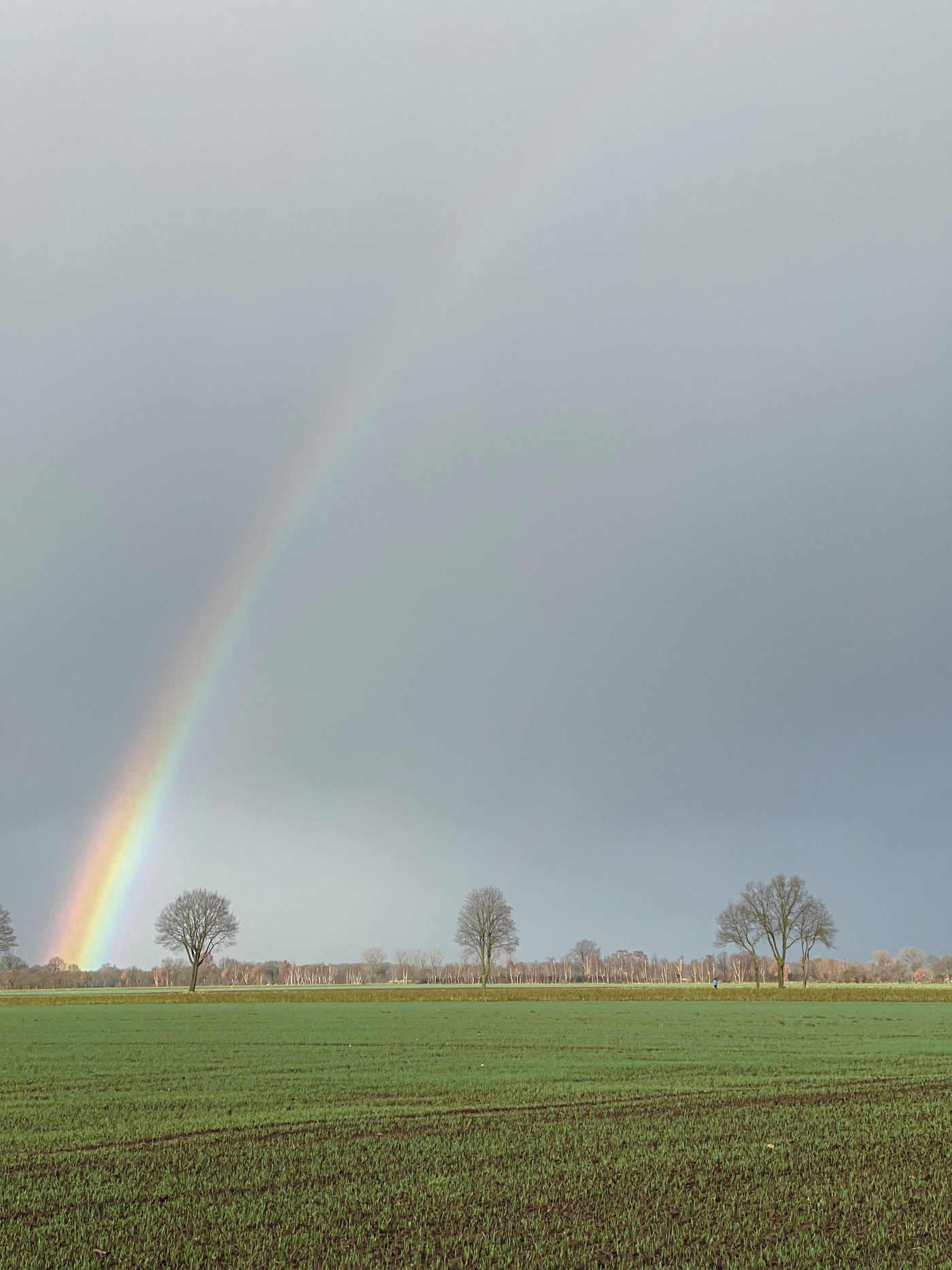 Regenbogen