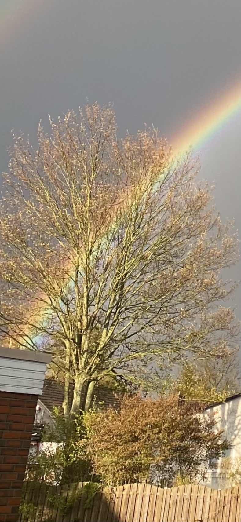 Regenbogen