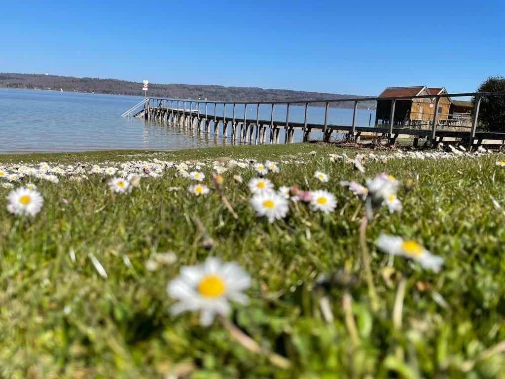 Ammersee