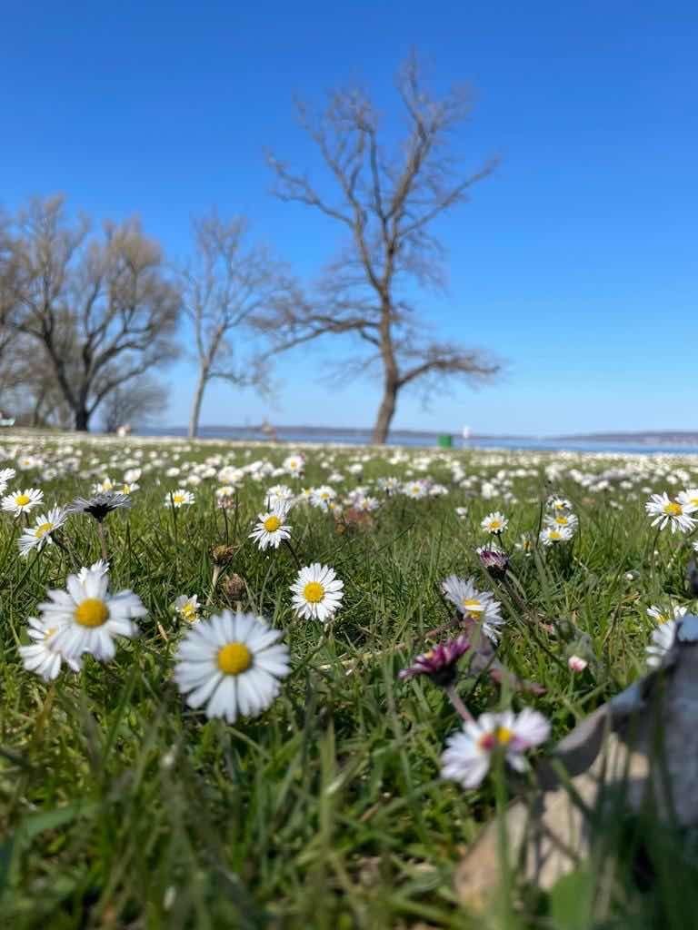 Ammersee