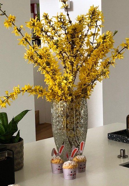 Forsythien