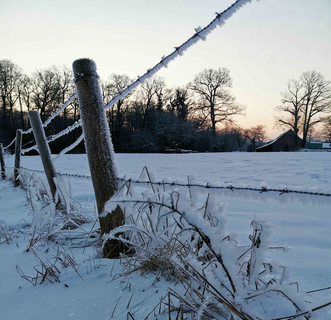 Winterspaziergang