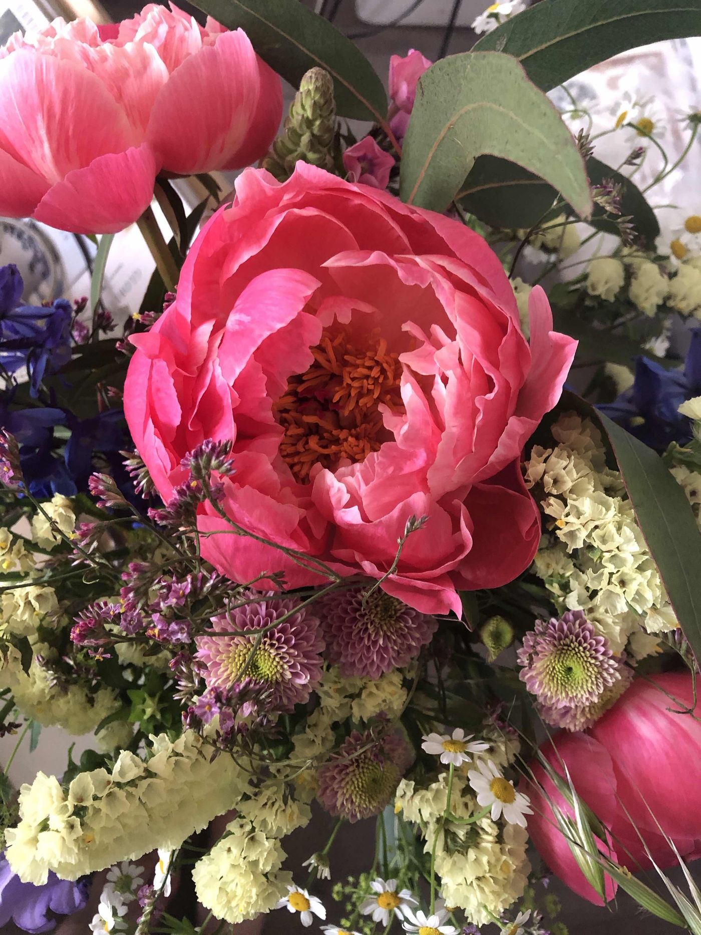 Peonies