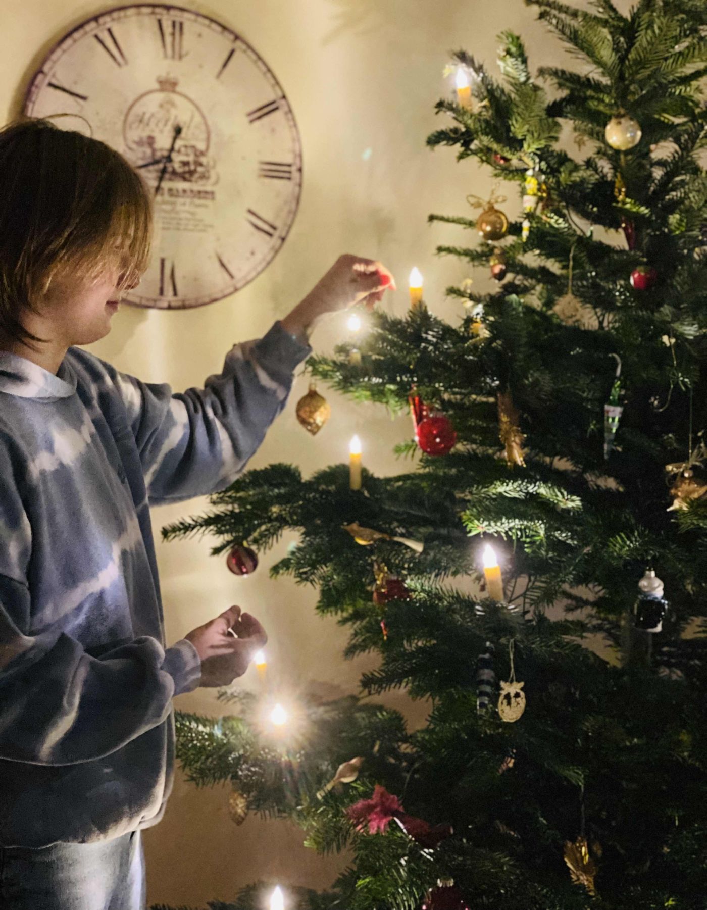 Weihnachtsbaum