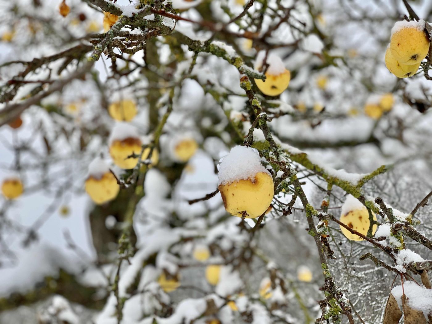 Winterspaziergang