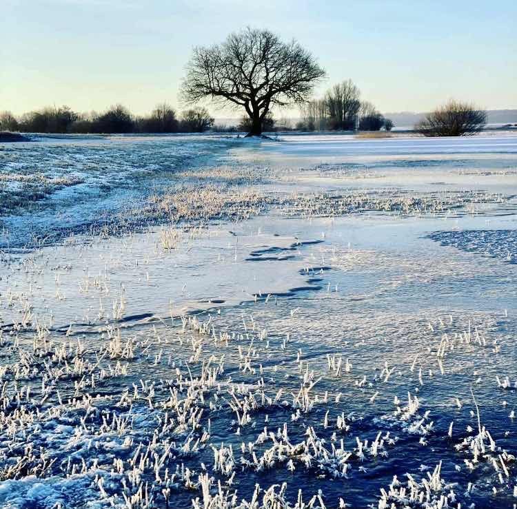 Winterspaziergang