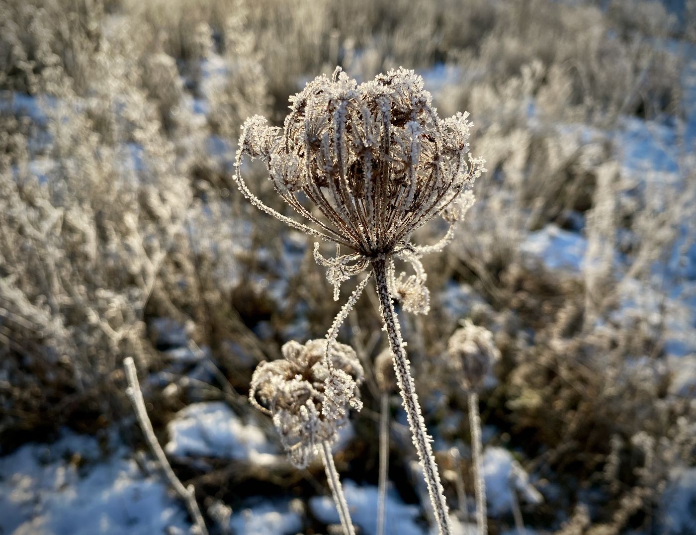 Winterspaziergang