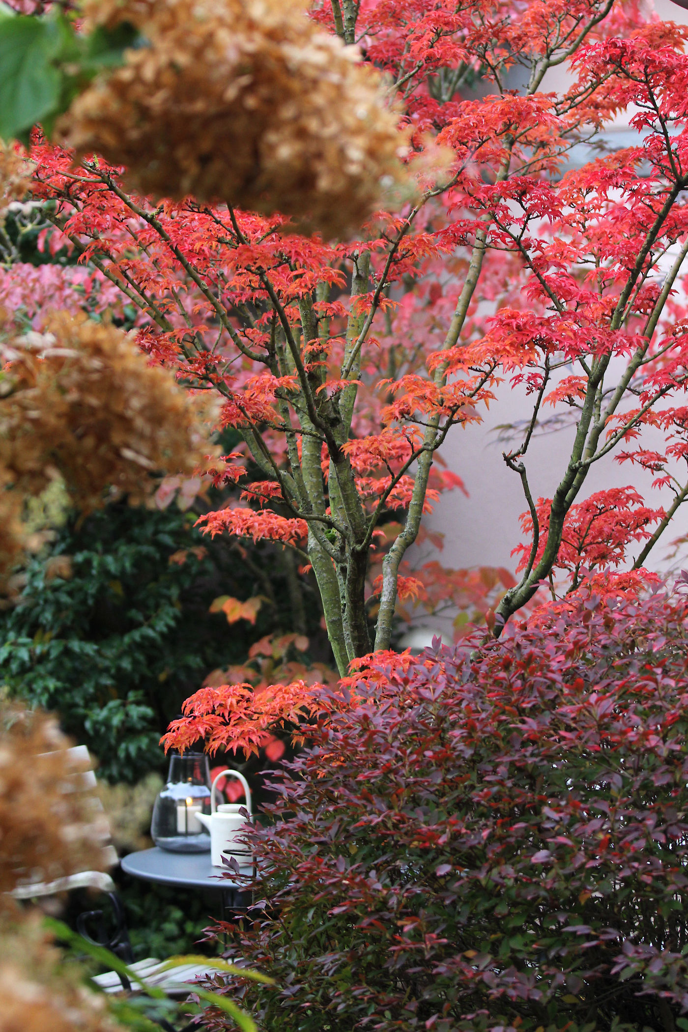 Herbstgarten