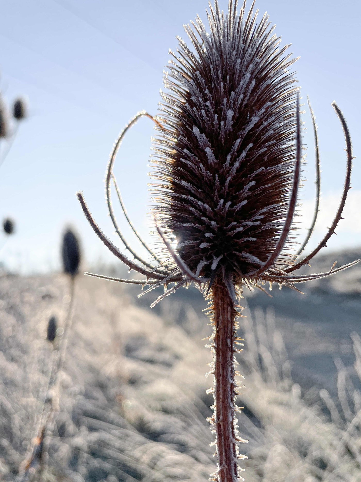 Winterlandschaft