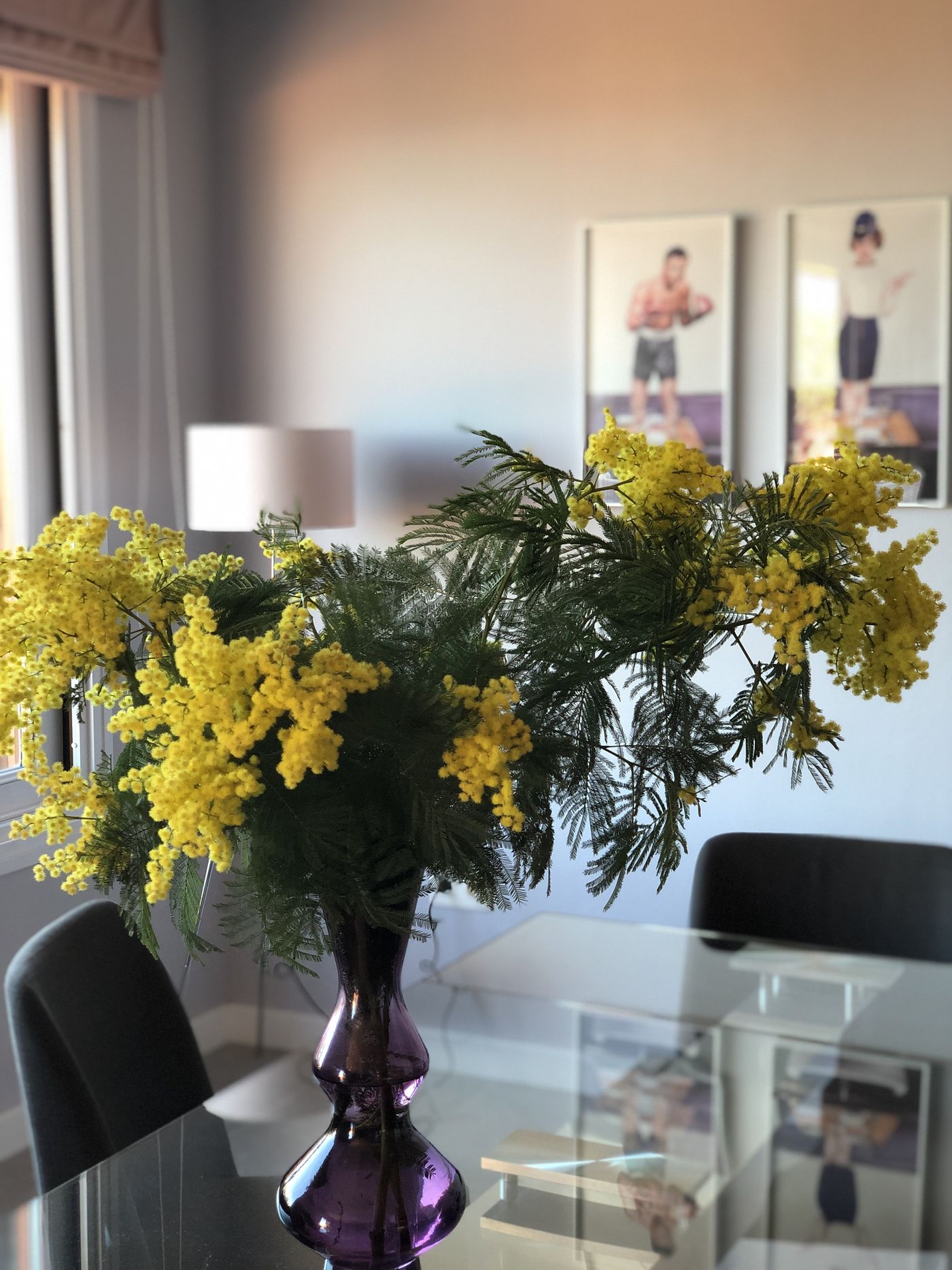 Mimose