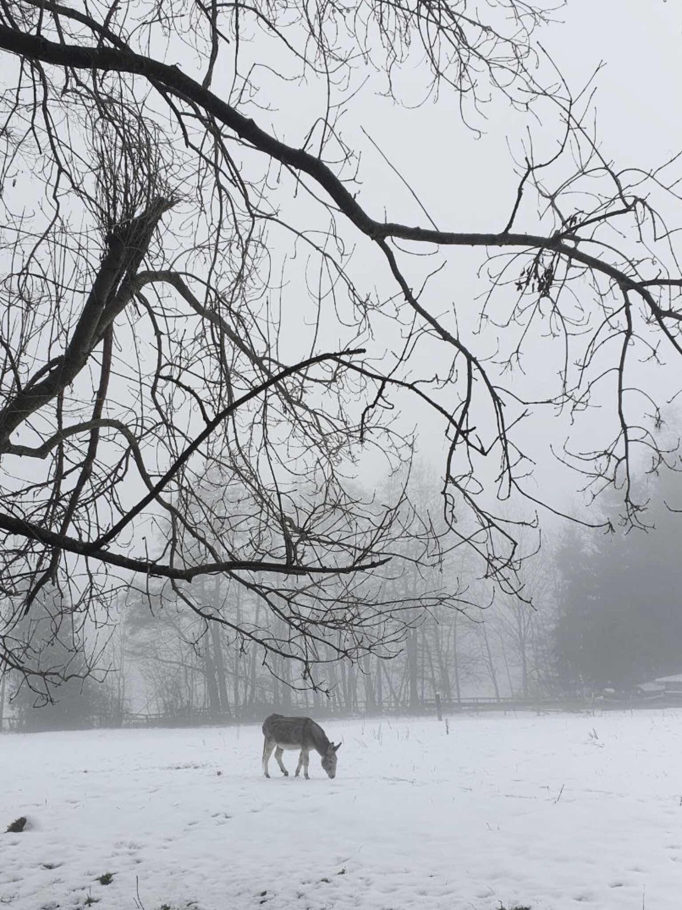 Winterlandschaft