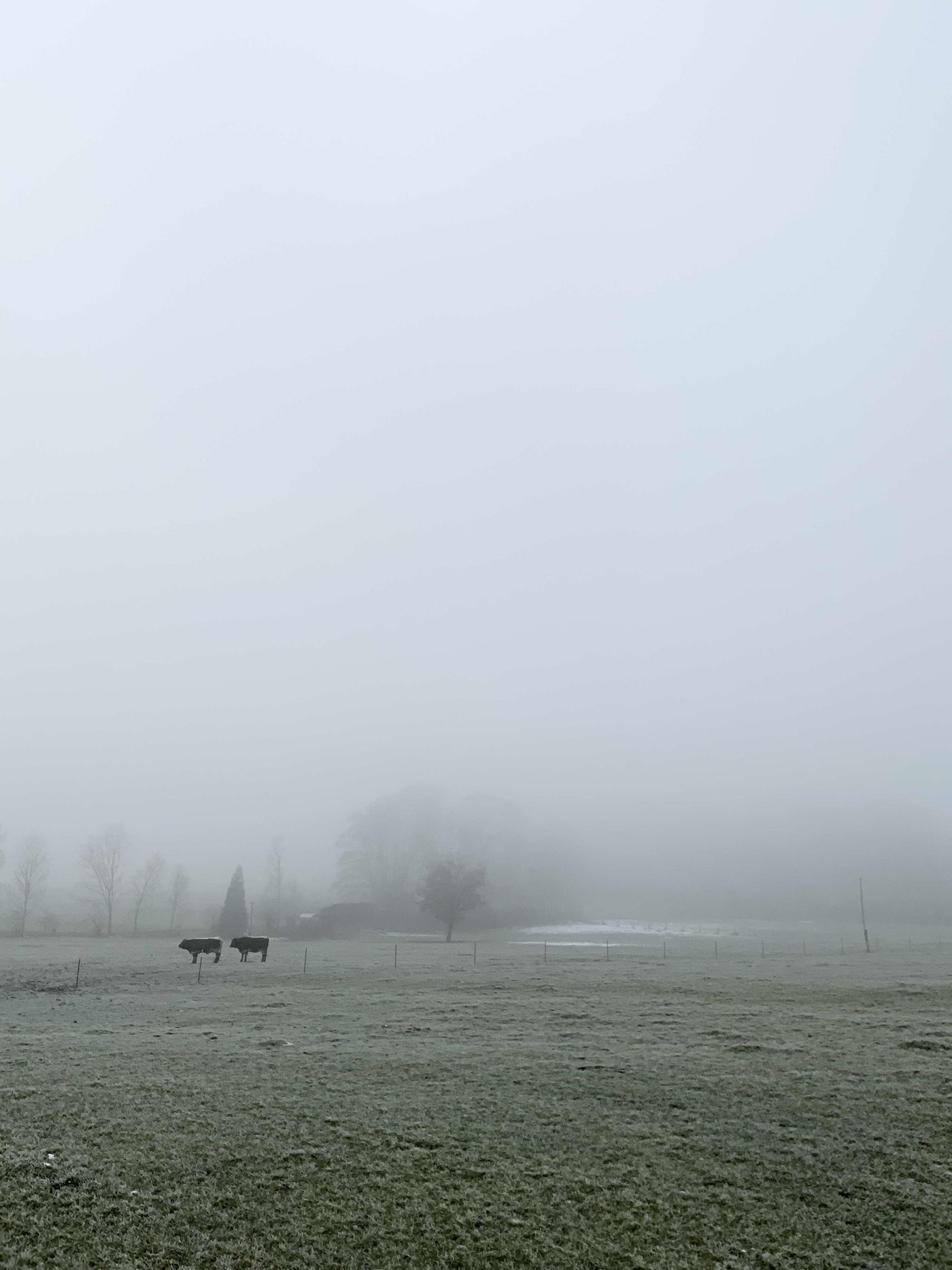 Winterlandschaft