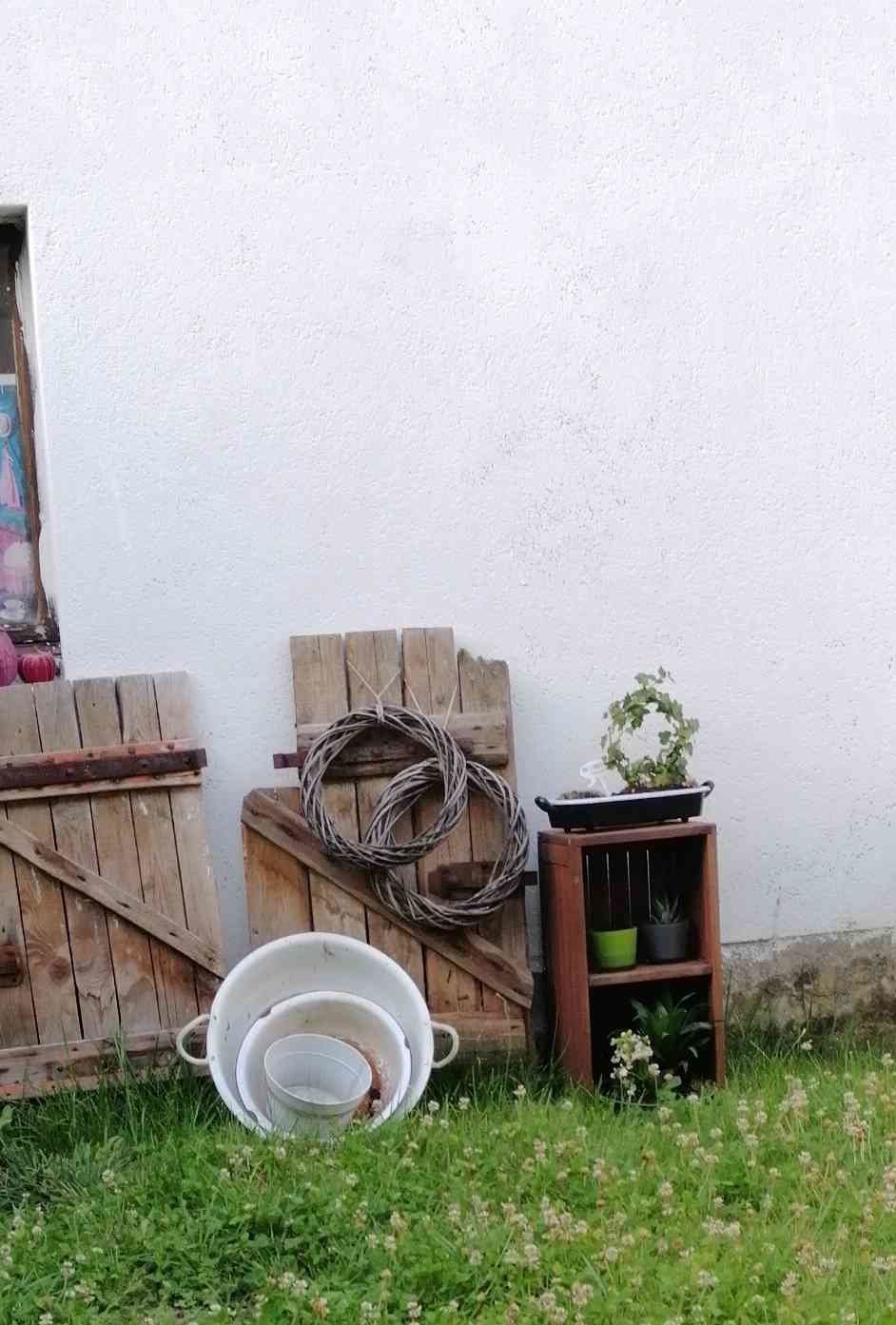 Mein Garten