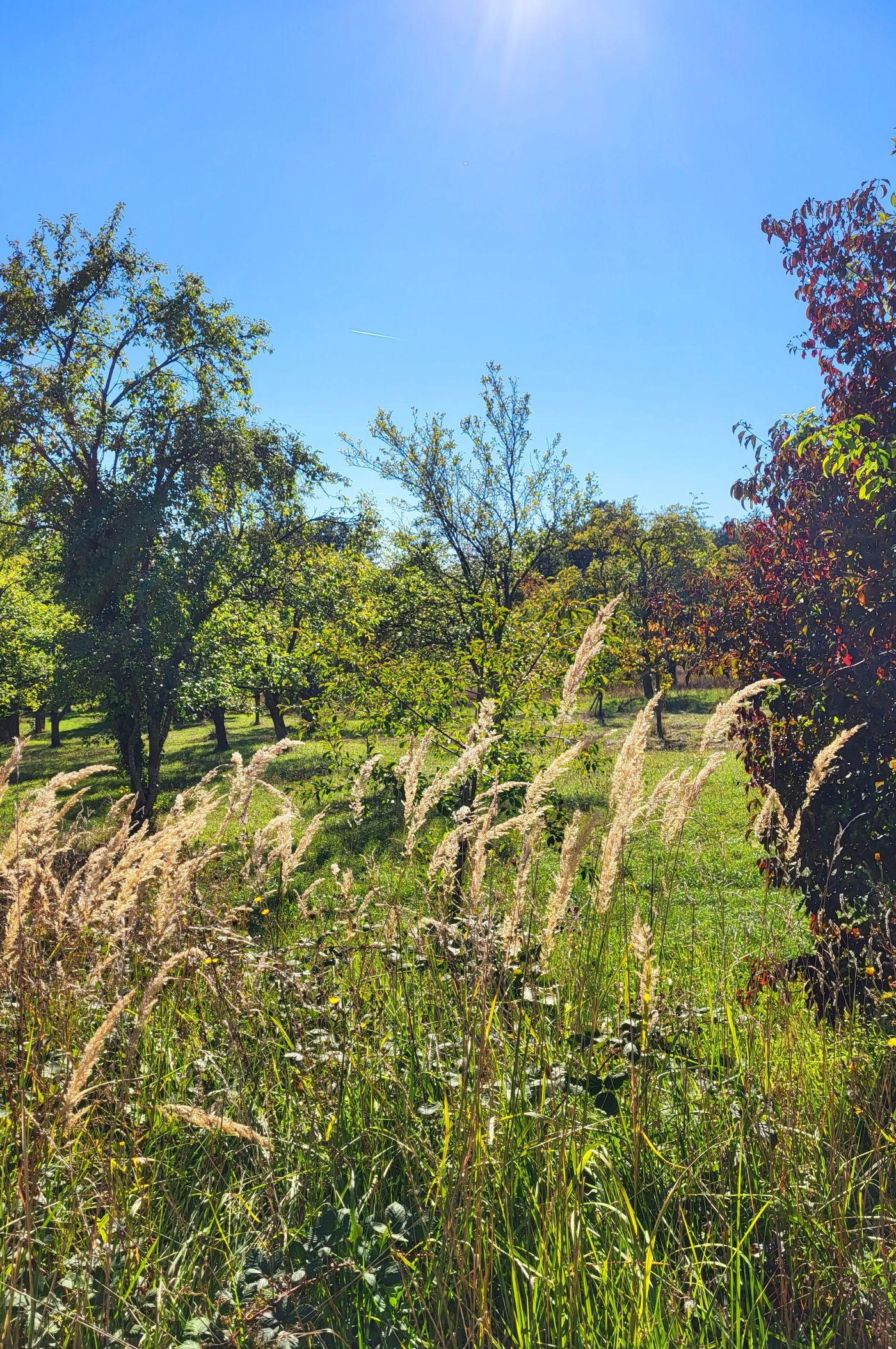 Landschaft