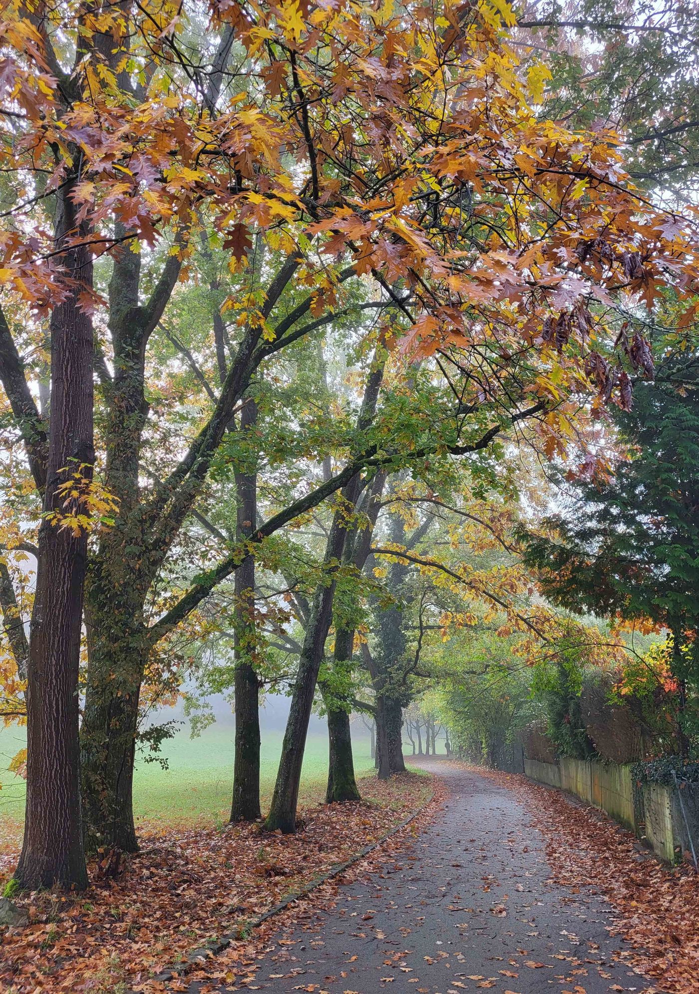 Herbstfarben