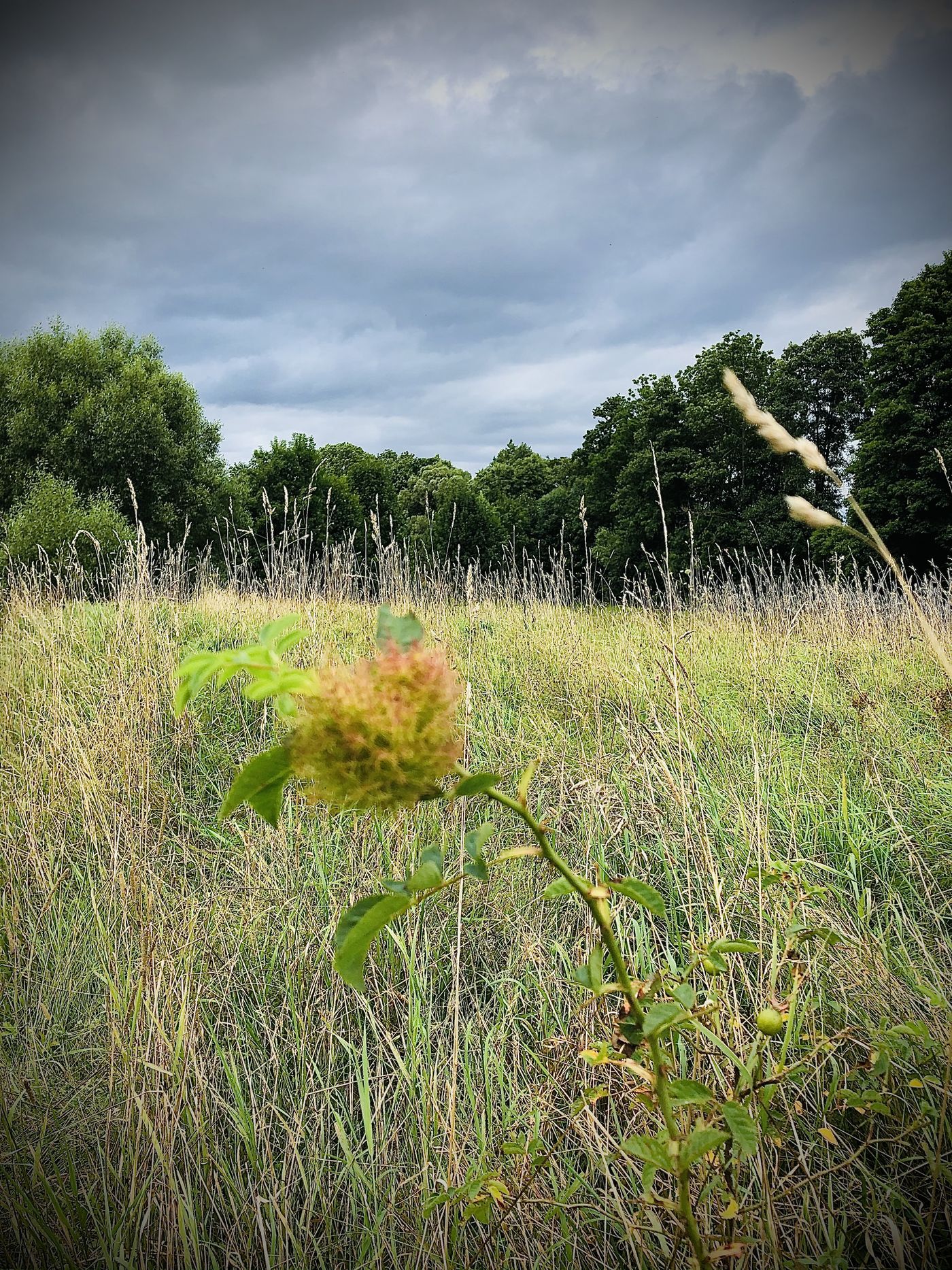 Naturfotografie