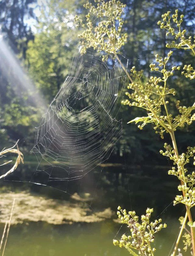 Naturfotografie