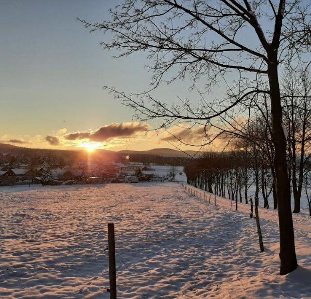 Winterspaziergang