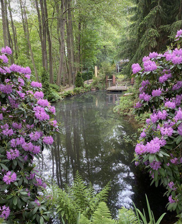 Naturfotografie