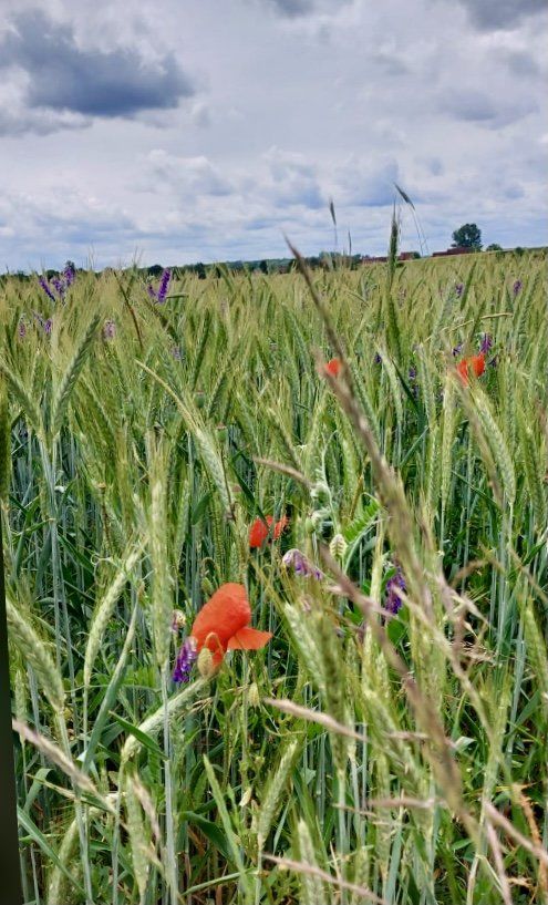 Naturfotografie