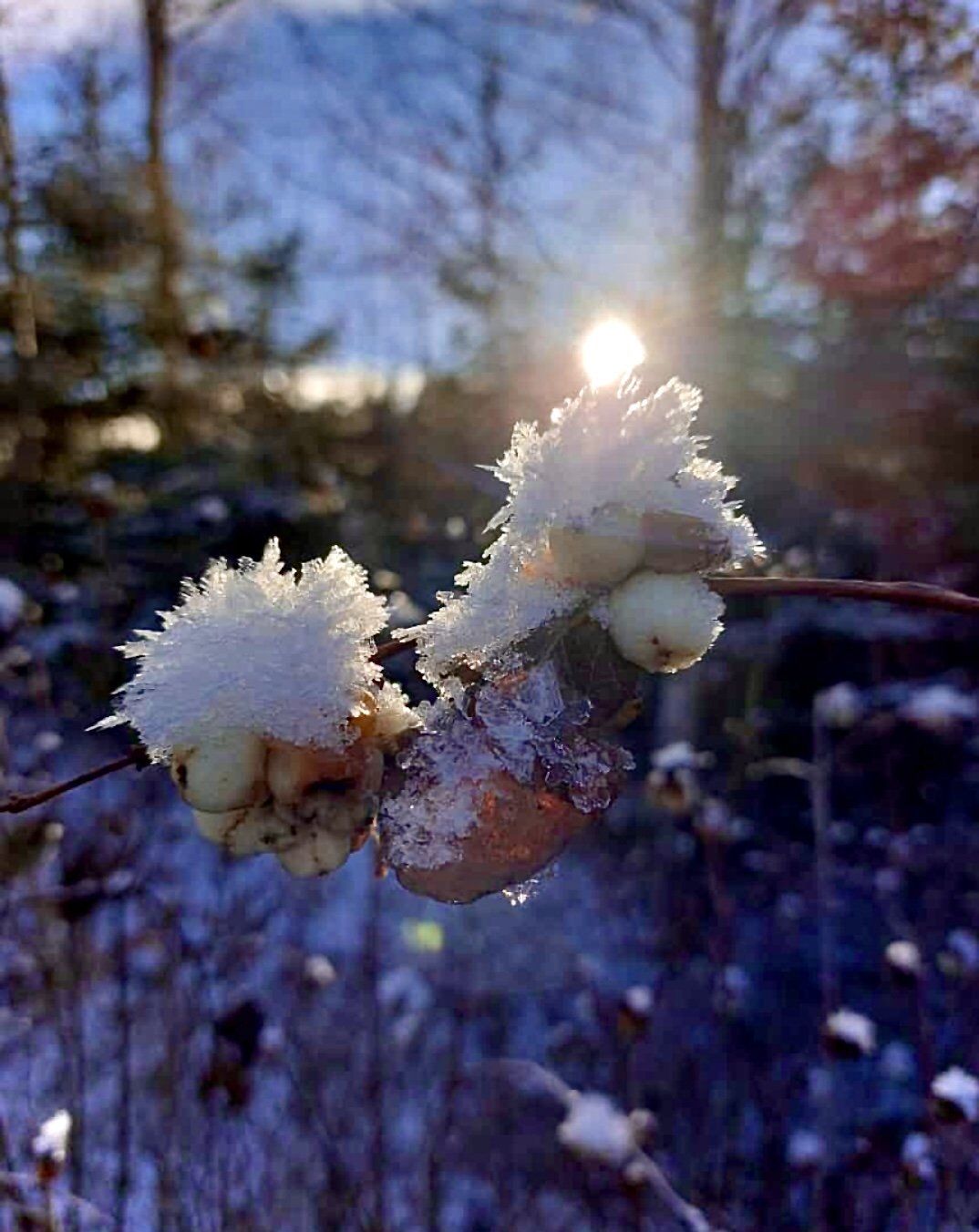 Winterwunderland