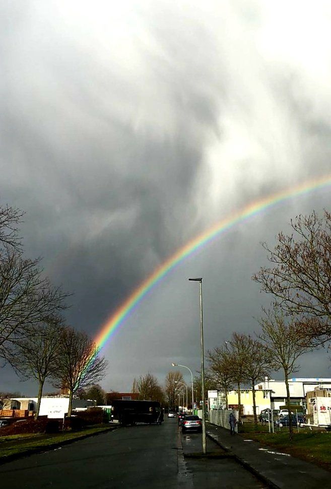 Regenbogen