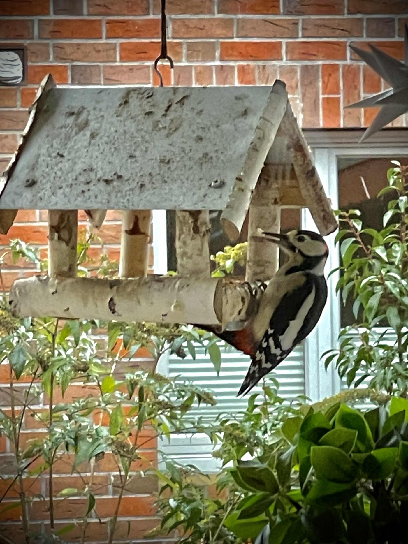 Futterstellen und Vogelhäuser