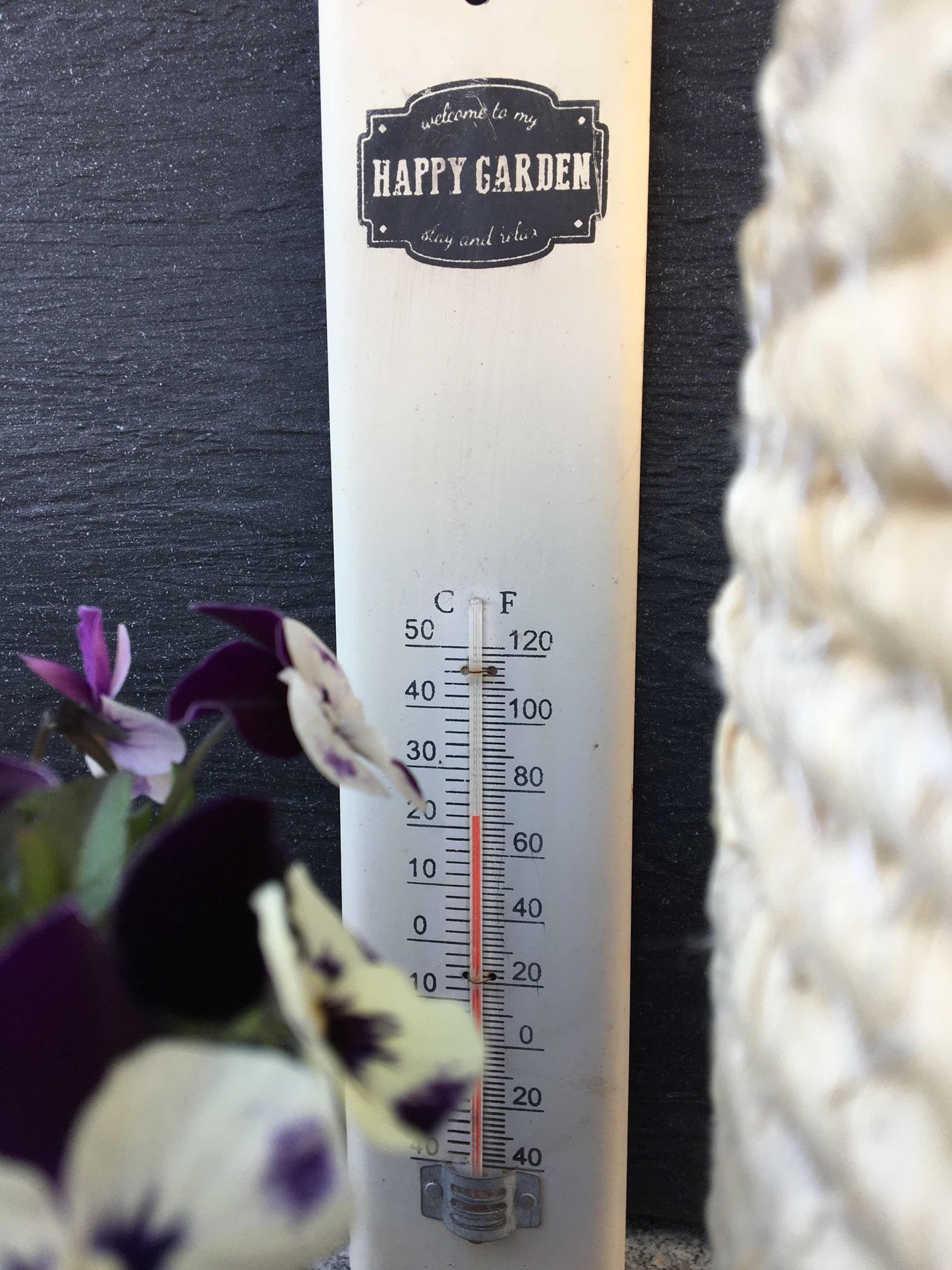 Thermometer