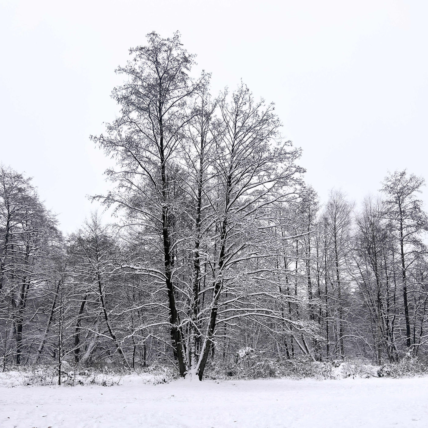 Weihnachten