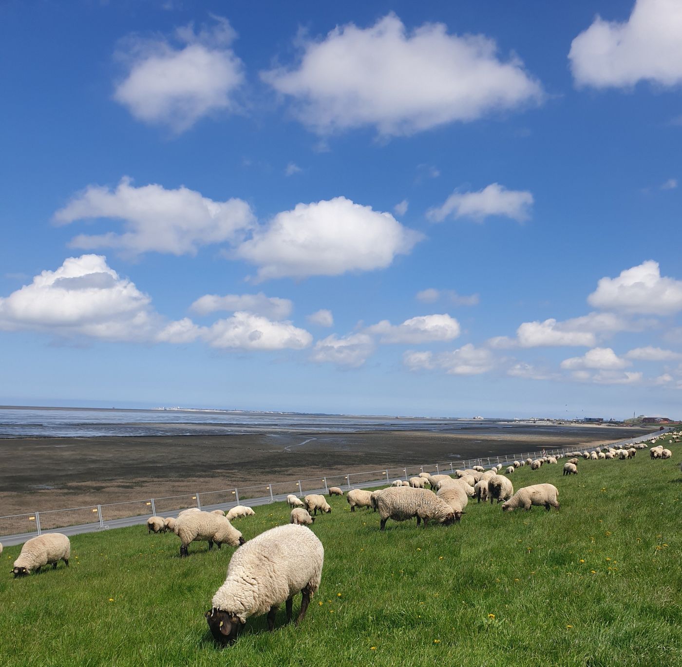 Wattenmeer