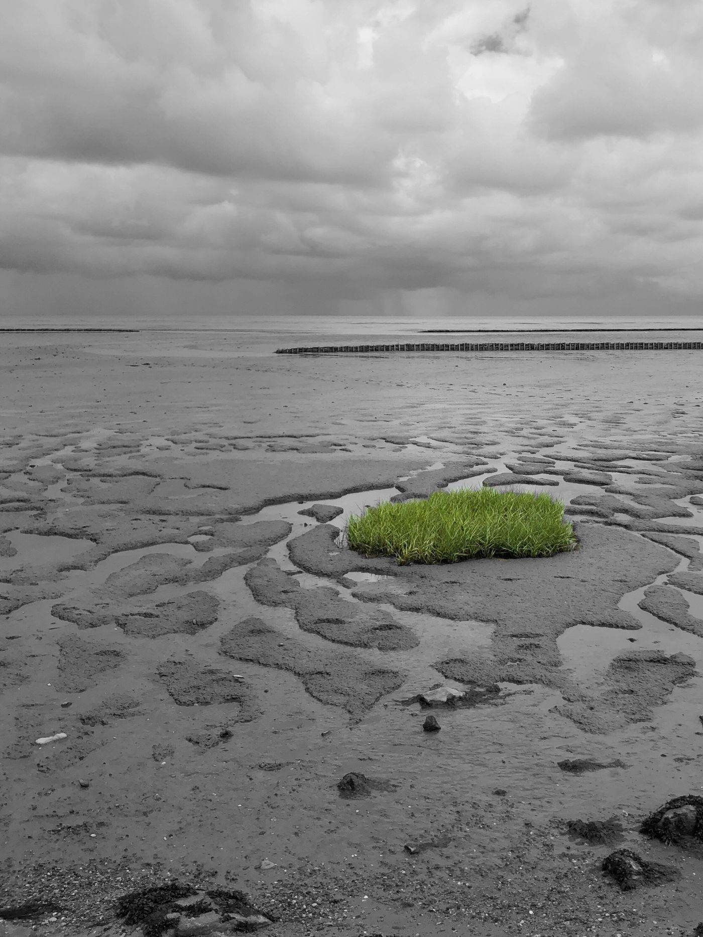 Sylt