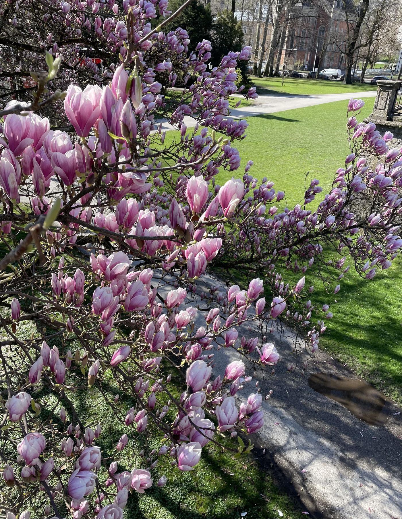 Frühling