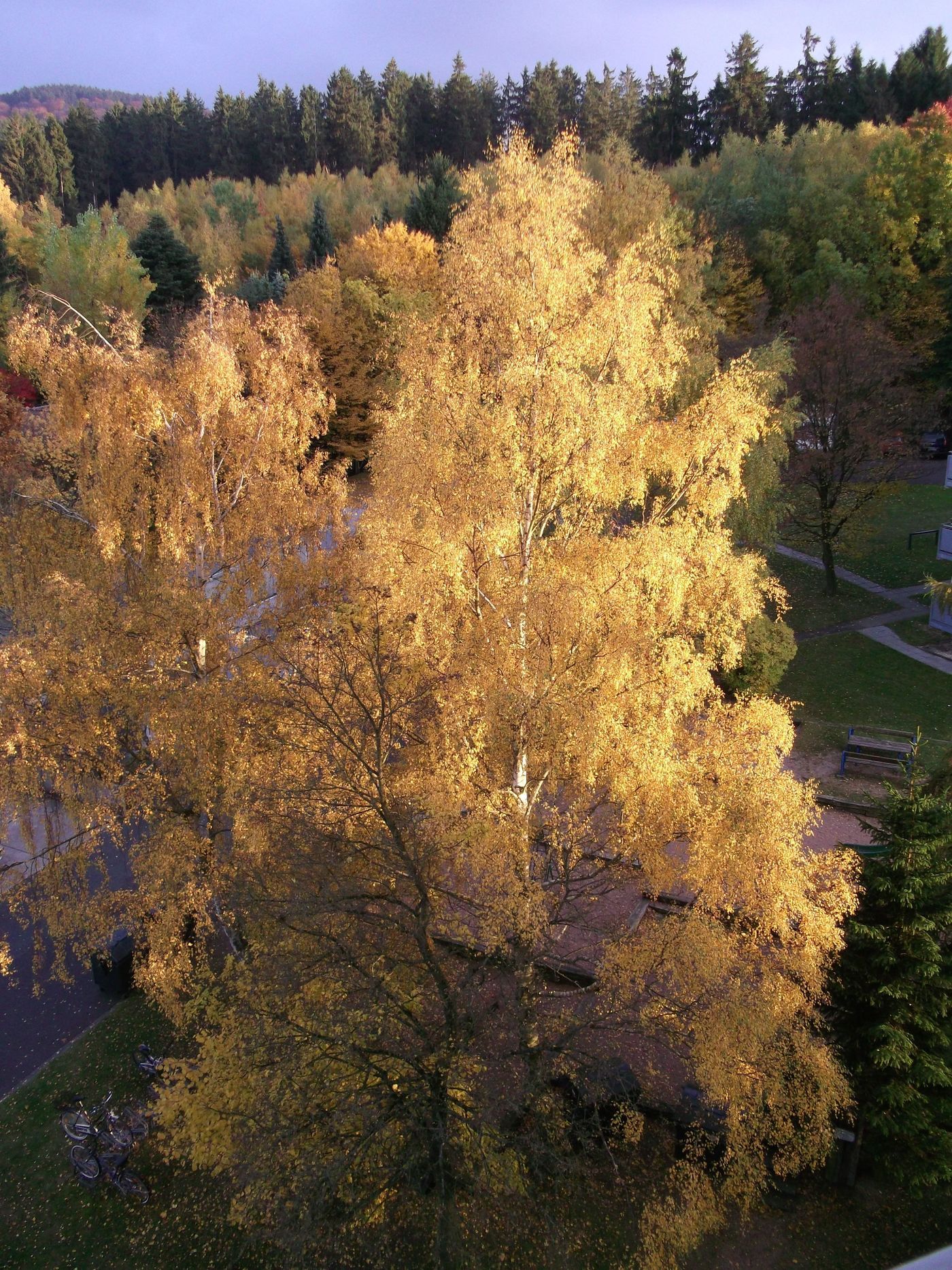 Blick vom Balkon