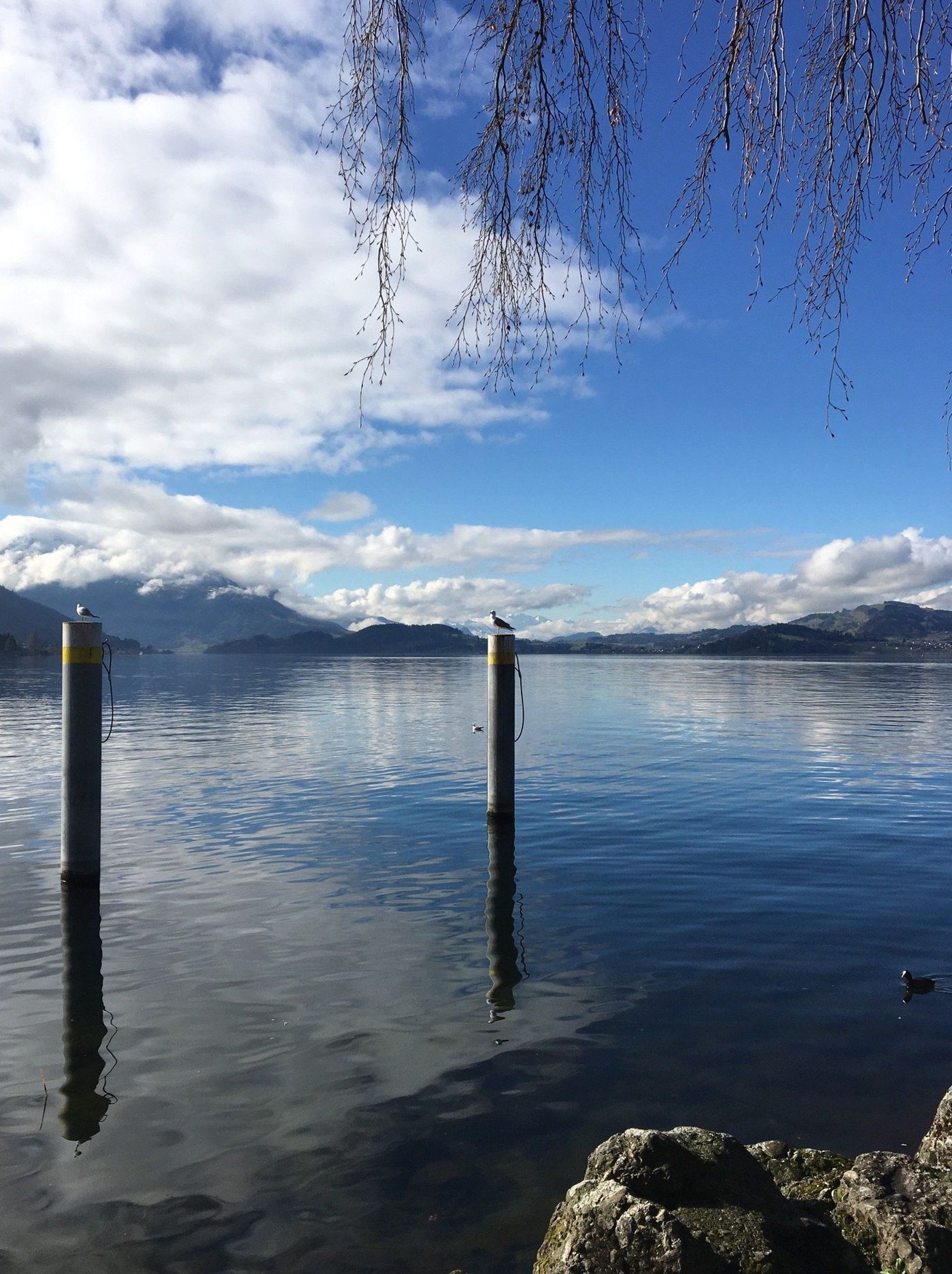 Zugersee