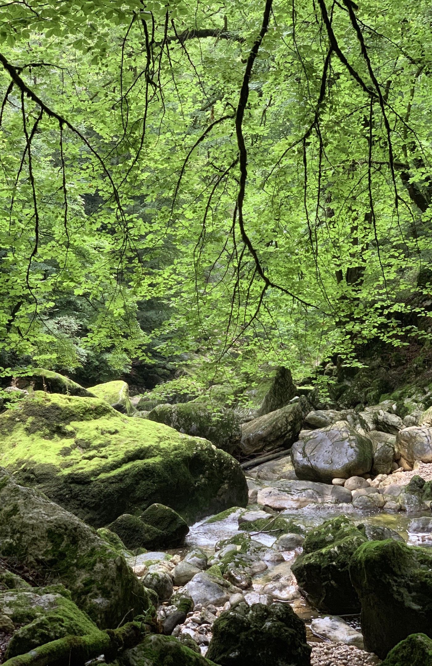 Naturschönheit