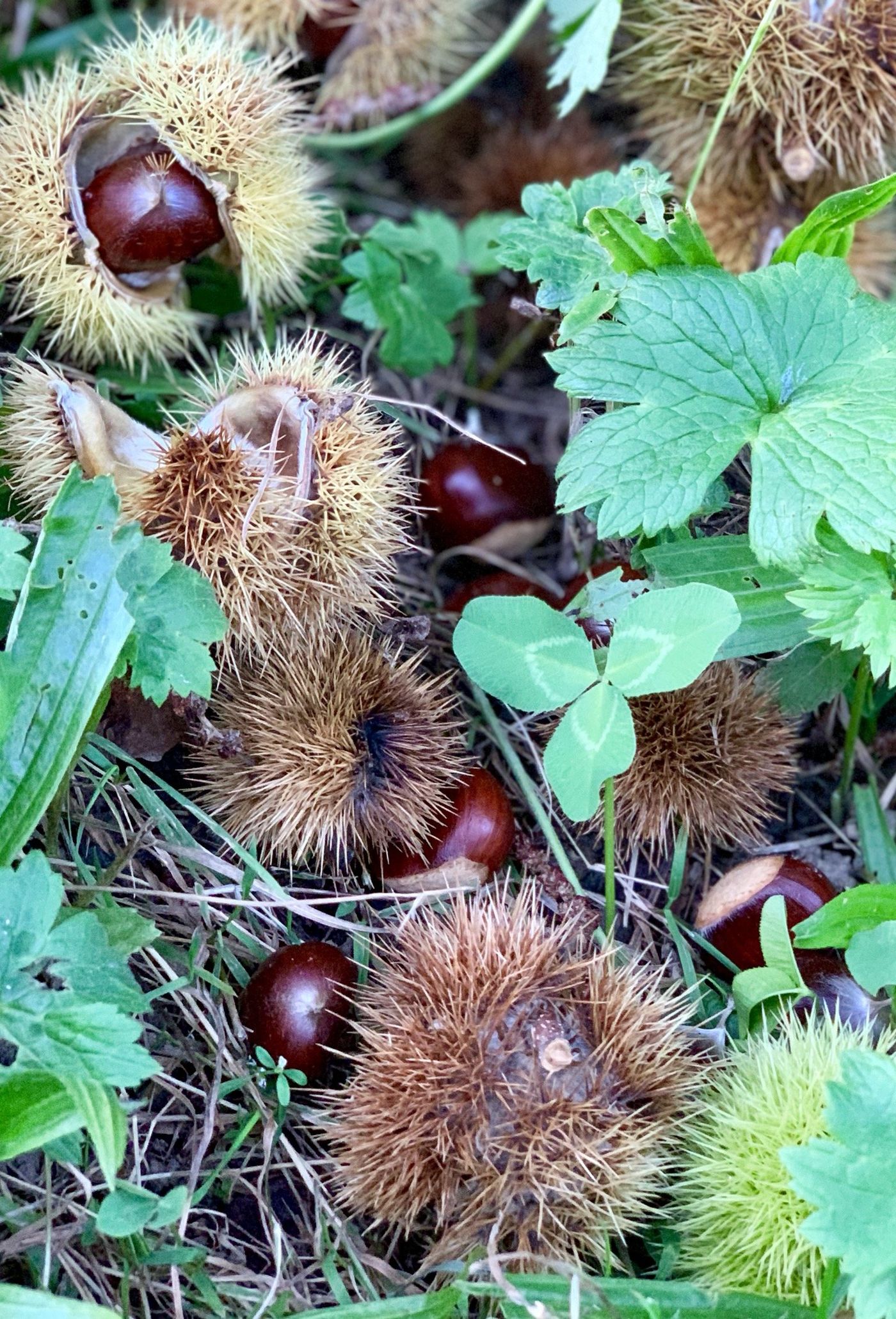 Abendessen