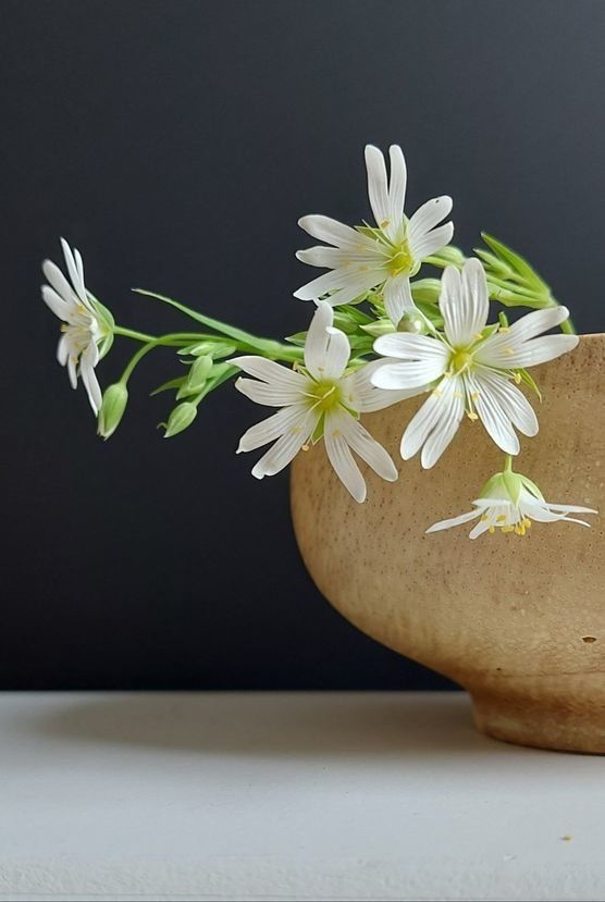 Holzschale Blümchen