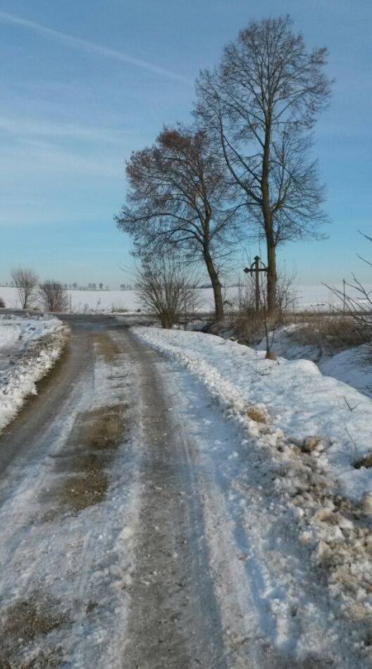 Winterspaziergang