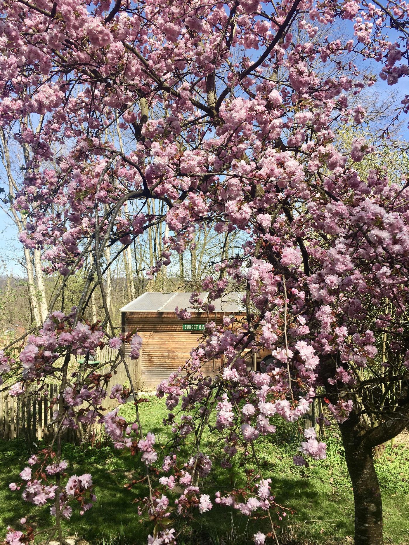 Frühlingsgarten