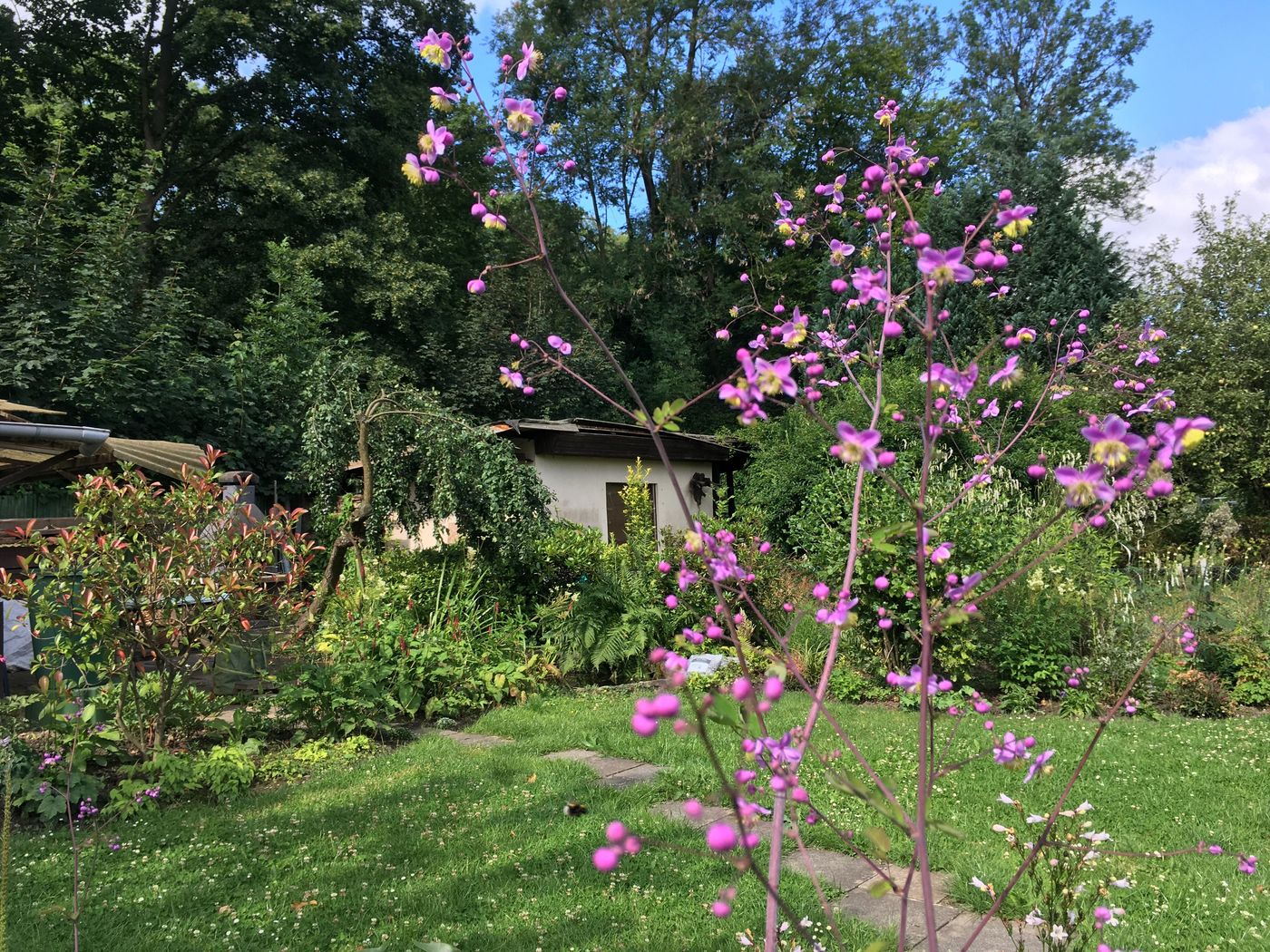 Kleiner Garten