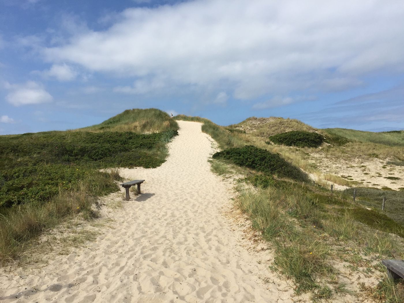 Sylt