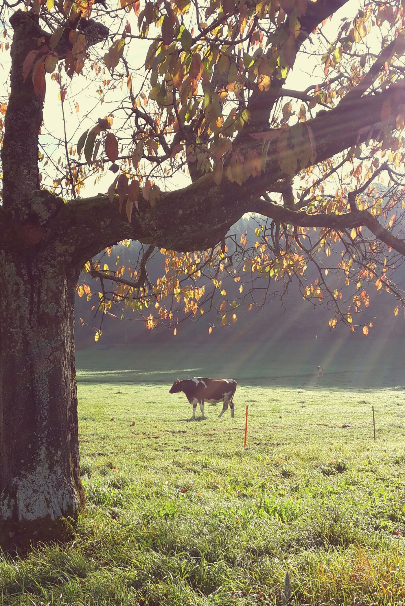 Die Schonsten Wohnungsfotos Mit Sonne Und Sonnenschein Seite 58