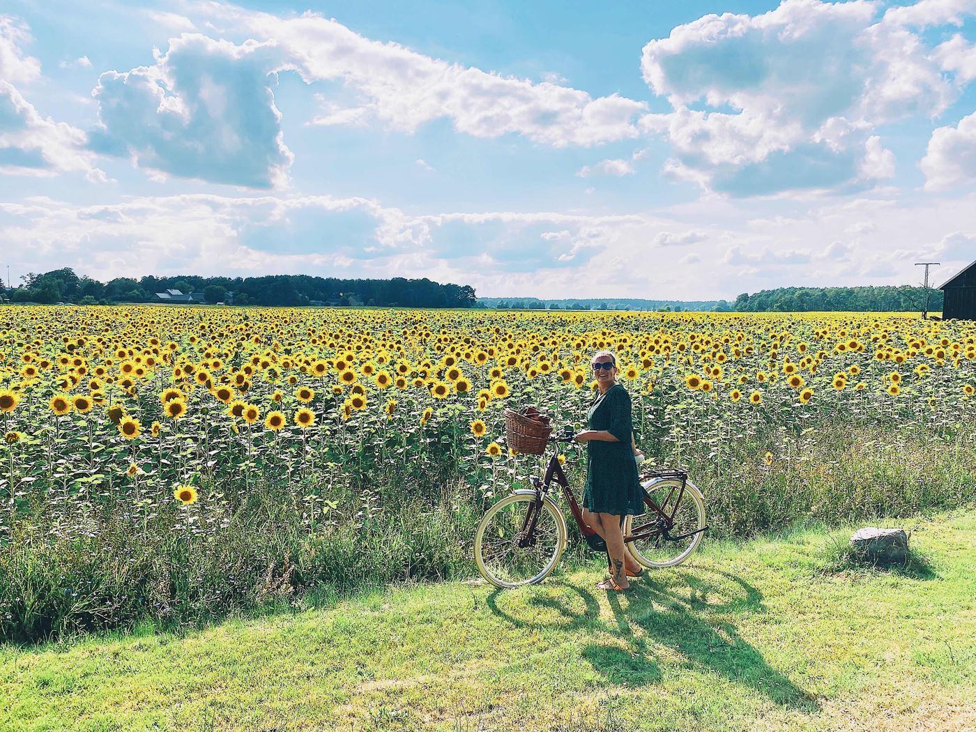 Sonnenblumen Deko