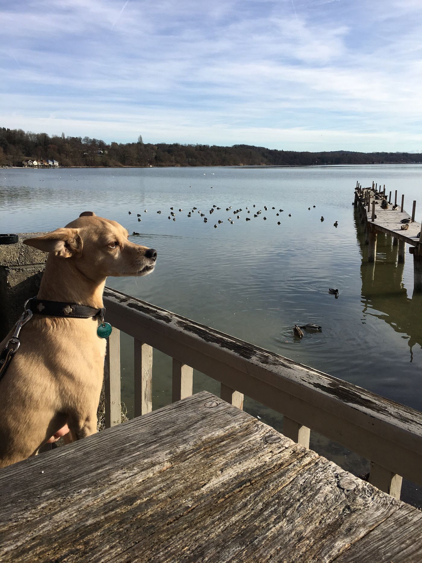 Ammersee