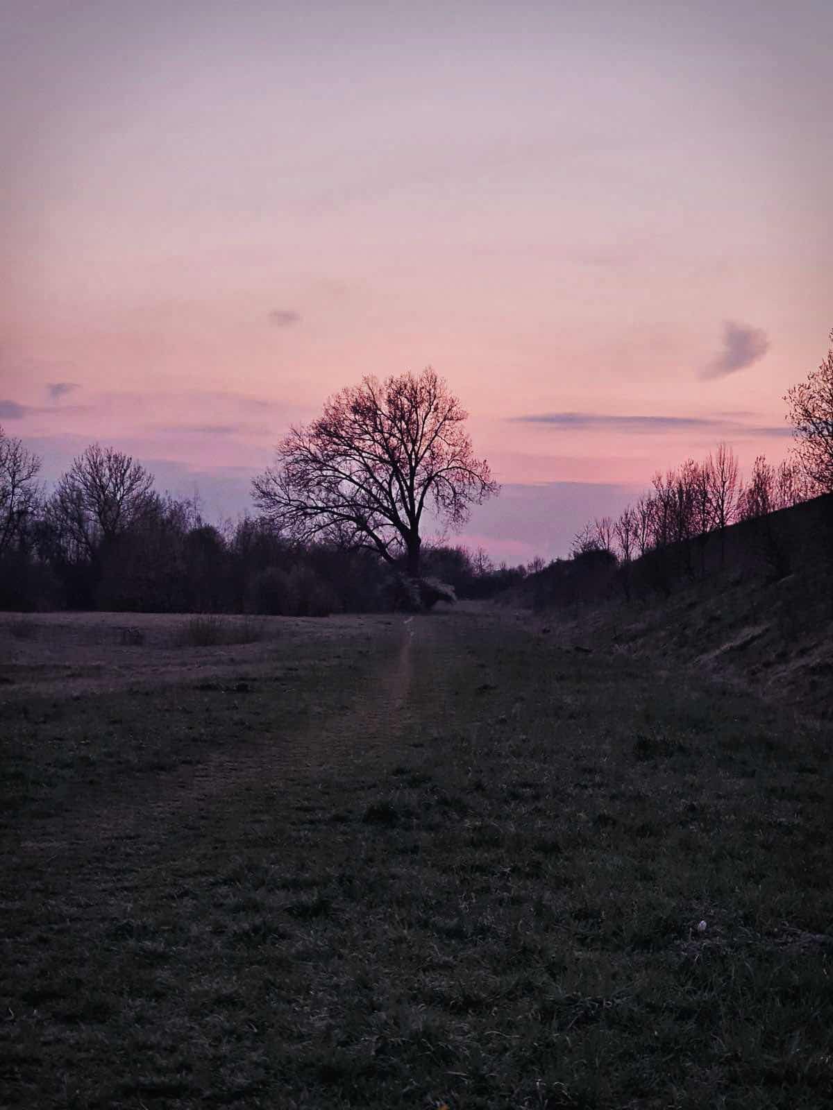 Abendspaziergang