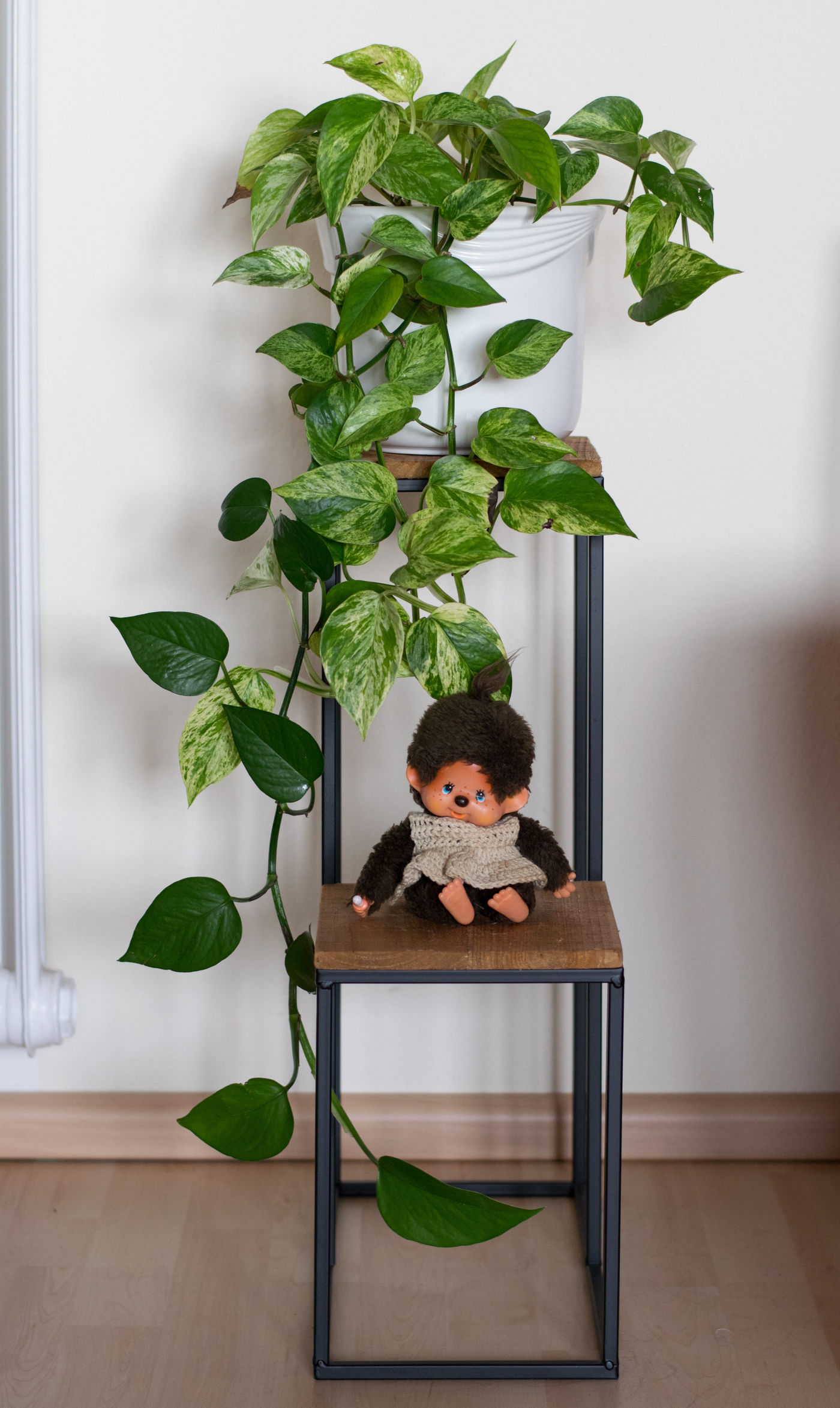 Monchhichi