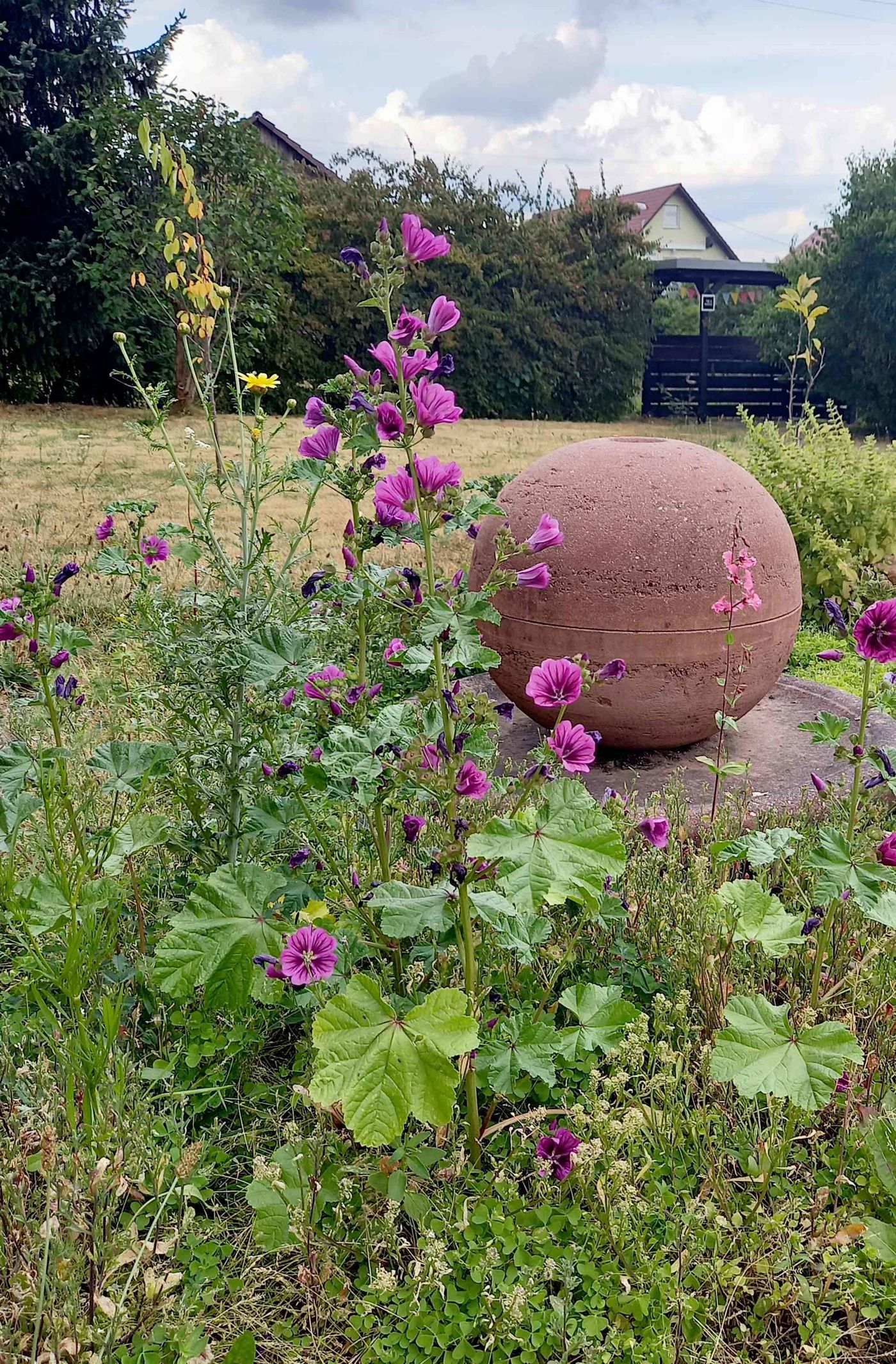 Blumenwiese