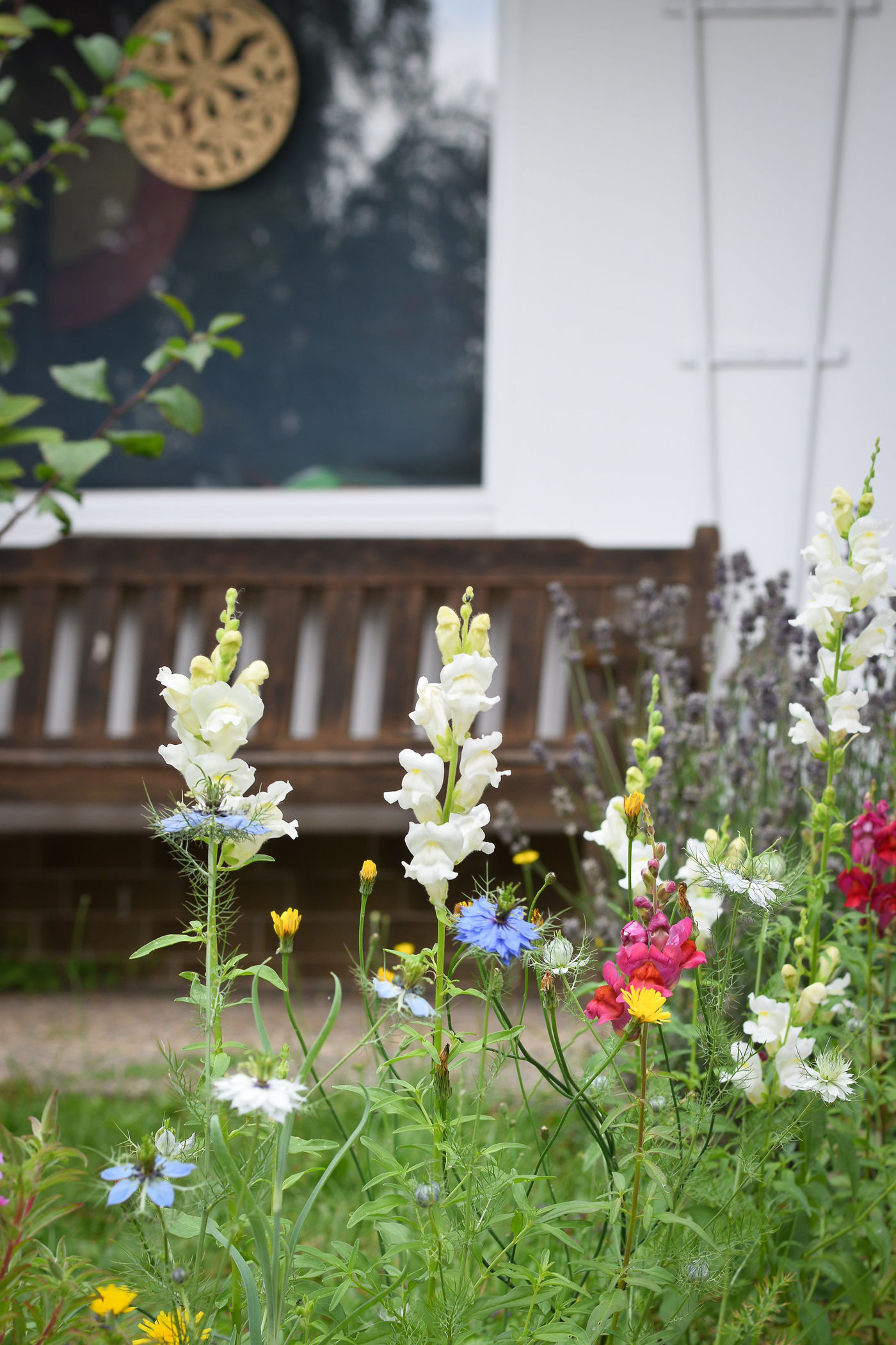 Blumenwiese